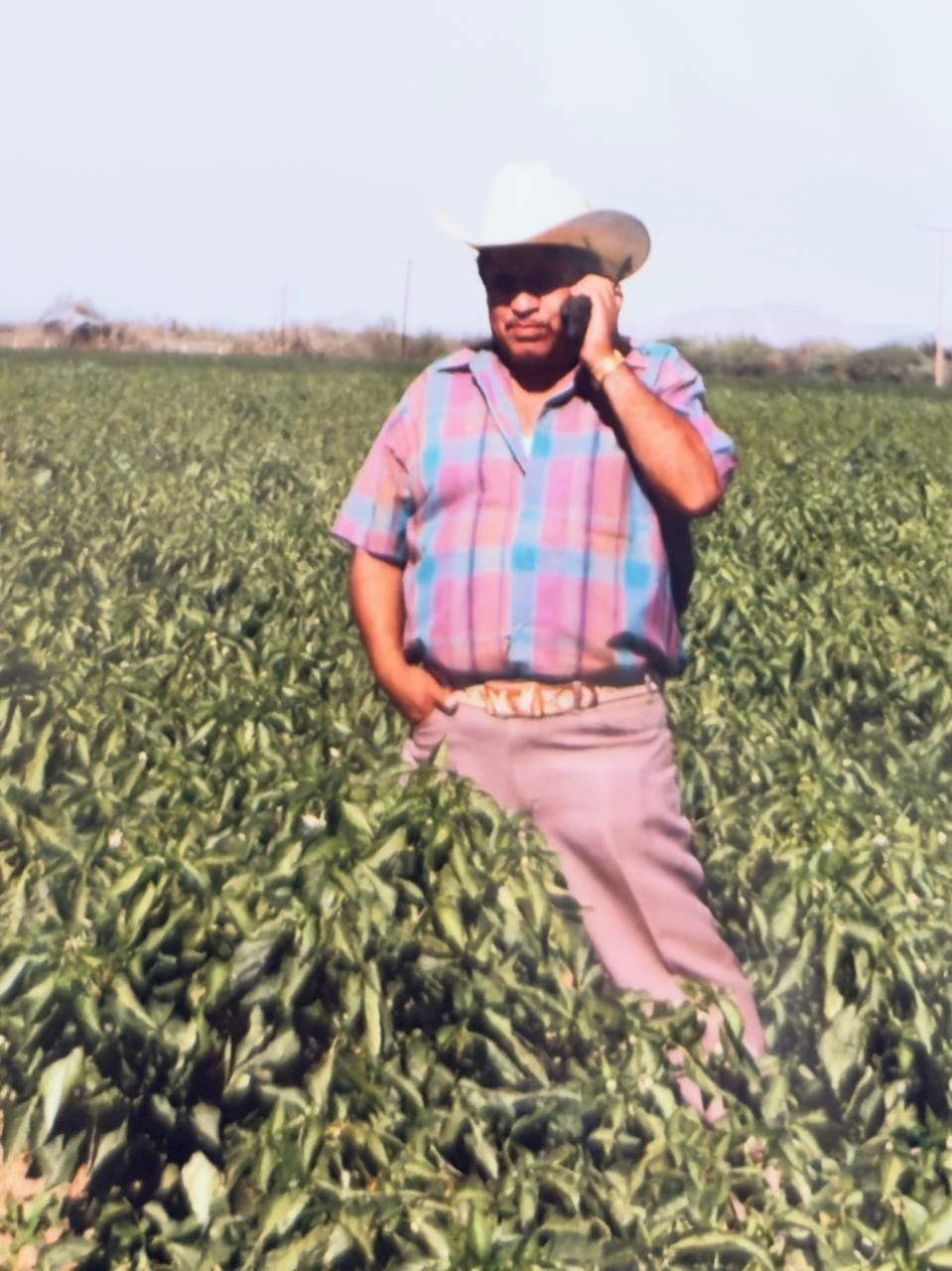 José Zapién López de pie en un campo de chile, con sombrero y camisa de cuadros, hablando por teléfono. Fotografía de archivo.