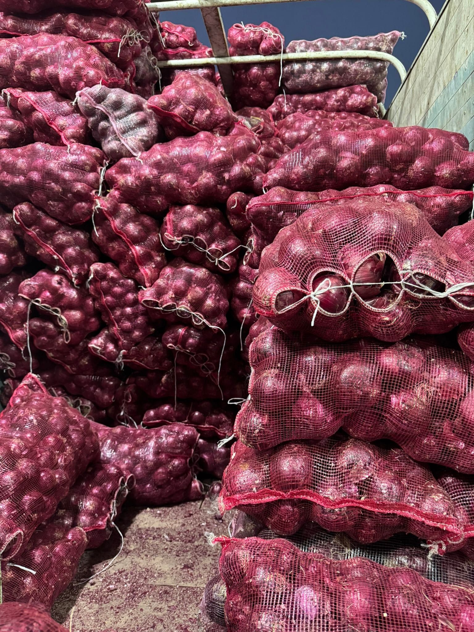 Cebolla morada