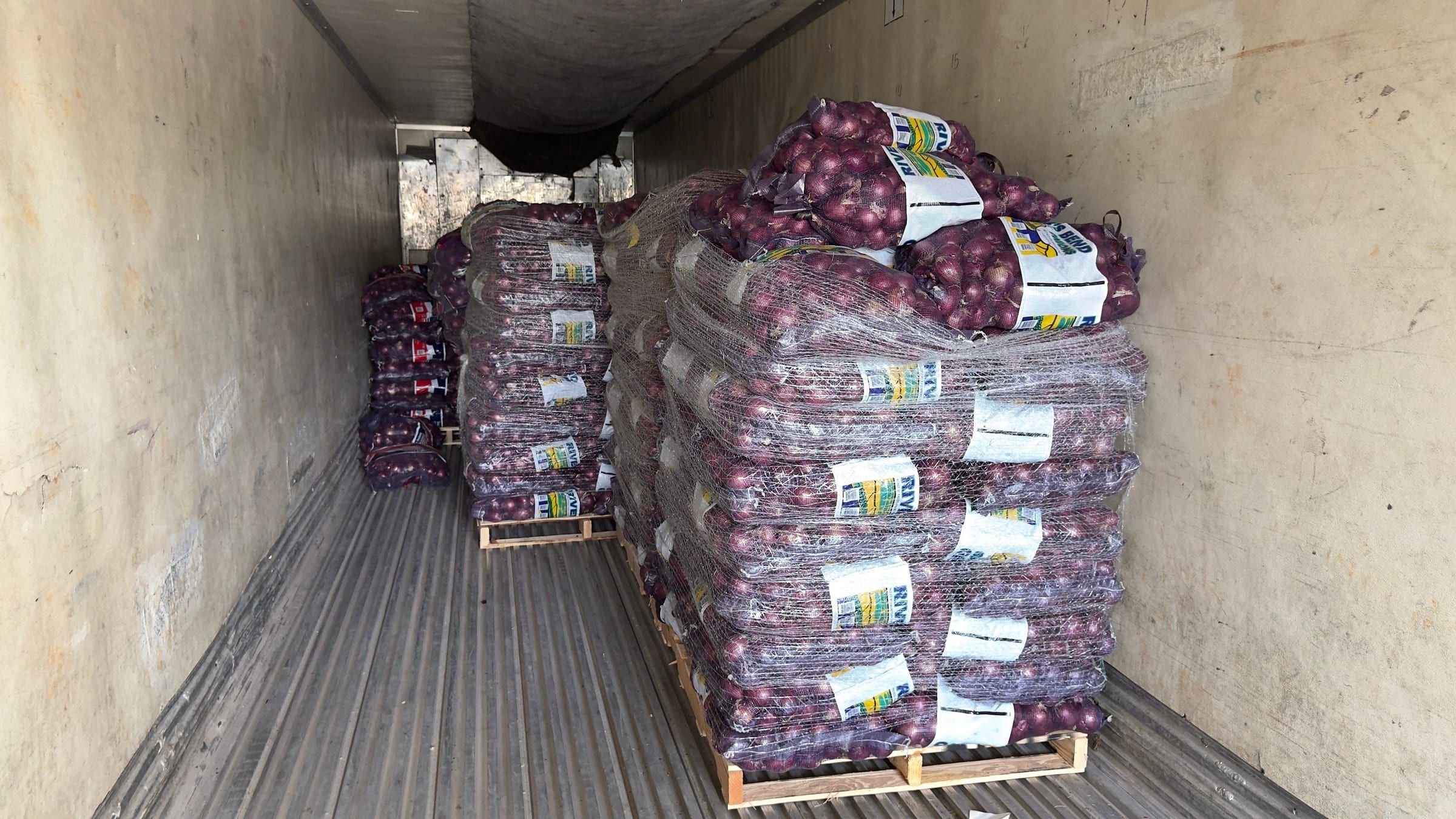 Un tráiler cargado con tarimas de cebolla morada estadounidense en sacos de malla, visto desde las puertas abiertas
